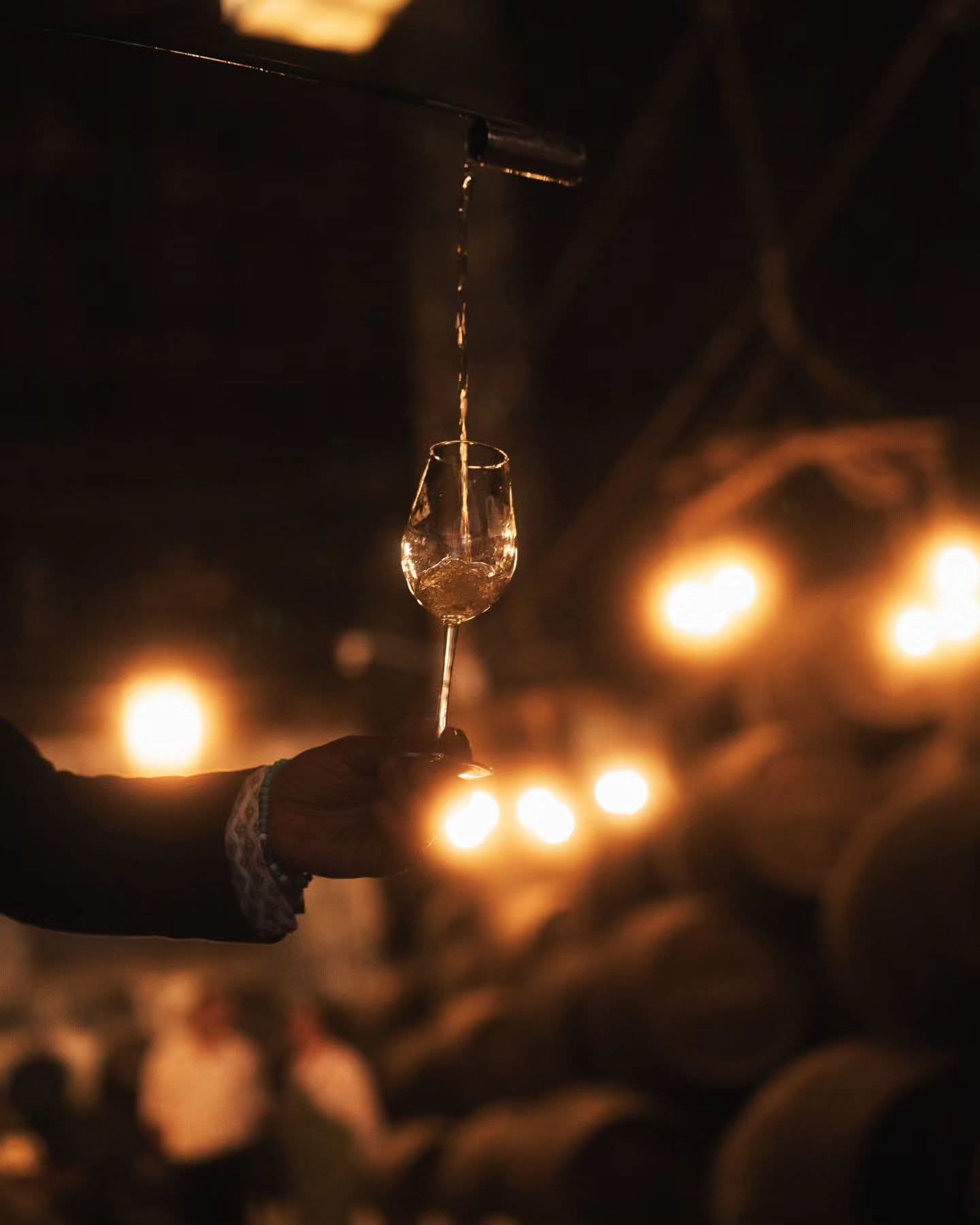 EXPERIENCIA GOURMET ENTREBOTAS