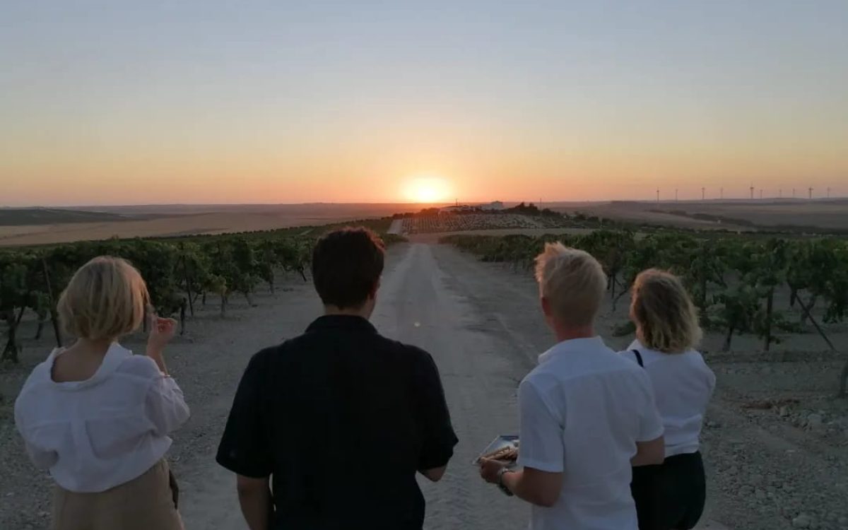 295751638_1035918457109272_972734913266681263_n