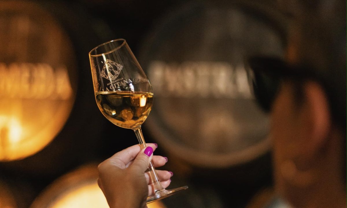 Visita Nocturna y cena en Bodega